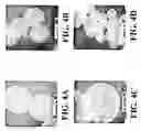 Fig. 05 - Nanoshells and Discrete Polymer-Coated Nanoshells, Methods For Making and Using Same