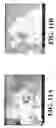 Fig. 14 - Nanoshells and Discrete Polymer-Coated Nanoshells, Methods For Making and Using Same