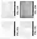 Fig. 19 - Nanoshells and Discrete Polymer-Coated Nanoshells, Methods For Making and Using Same