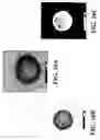 Fig. 20 - Nanoshells and Discrete Polymer-Coated Nanoshells, Methods For Making and Using Same