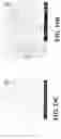 Fig. 25 - Nanoshells and Discrete Polymer-Coated Nanoshells, Methods For Making and Using Same