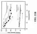 Fig. 28 - Nanoshells and Discrete Polymer-Coated Nanoshells, Methods For Making and Using Same