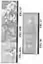 Fig. 43 - Nanoshells and Discrete Polymer-Coated Nanoshells, Methods For Making and Using Same