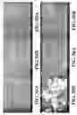 Fig. 48 - Nanoshells and Discrete Polymer-Coated Nanoshells, Methods For Making and Using Same