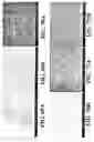 Fig. 56 - Nanoshells and Discrete Polymer-Coated Nanoshells, Methods For Making and Using Same