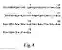 Fig. 05 - Compositions & methods for activation and inhibition of Staphylococcus aureus biofilm development