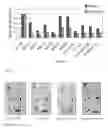 Fig. 09 - Sorghum Extract Compositions