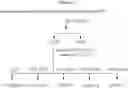 Fig. 04 - Aqueous extracts of anoectochilus spp. kinsenoside-comprising pharmaceutical compositions useful for hepatoprotection and uses of the same