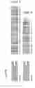 Fig. 26 - Modulating plant carbon levels