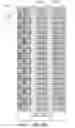 Fig. 15 - Method of fabricating a magnetic shift register