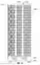 Fig. 22 - Method of fabricating a magnetic shift register