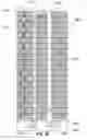 Fig. 24 - Method of fabricating a magnetic shift register