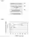 Fig. 04 - METHOD FOR PRODUCING HYDROGEN GAS SEPARATION MATERIAL