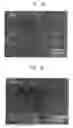Fig. 05 - Conductive ink composition and method of forming a conductive pattern using the same