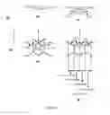 Fig. 05 - Optical compensation films with disk groups for liquid crystal display