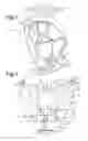 Fig. 02 - Flower Vase and Blank for the Production Thereof