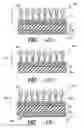 Fig. 61 - Needled woven and nonwoven layers