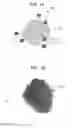 Fig. 02 - Mixed particles and honeycomb structure for gas conversion apparatus