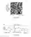 Fig. 07 - Diamond films and methods of making diamond films