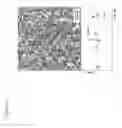 Fig. 10 - Method of preparing a substrate having a layer or pattern of metal on it