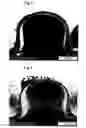 Fig. 06 - Molded Body, Method For Producing the Body and Use Thereof