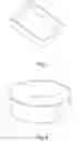 Fig. 05 - Poly lactic acid and veneer laminar structure
