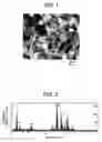 Fig. 02 - RARE EARTH MAGNET AND MANUFACTURING METHOD THEREOF