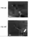 Fig. 05 - RARE EARTH MAGNET AND MANUFACTURING METHOD THEREOF