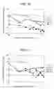 Fig. 08 - RARE EARTH MAGNET AND MANUFACTURING METHOD THEREOF