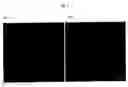 Fig. 03 - VIRAL FIBERS
