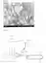 Fig. 07 - Filament Bundle Type Nano Fiber and Manufacturing Method Thereof
