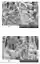 Fig. 06 - Elastic laminates having fragrance releasing properties and methods of making the same