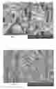 Fig. 07 - Elastic laminates having fragrance releasing properties and methods of making the same