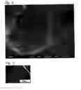 Fig. 03 - Tungsten oxide photocatalyst comprising platinum particles