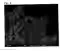 Fig. 04 - Tungsten oxide photocatalyst comprising platinum particles