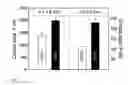 Fig. 05 - Graded glass/zirconia/glass structures for damage resistant ceramic dental and orthopedic prostheses