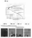 Fig. 06 - Method for forming corrosion-resistant film and high-temperature apparatus member