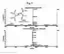 Fig. 05 - Dendrimer having metallocene core, organic memory device using the same and manufacturing method thereof