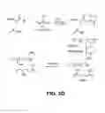 Fig. 05 - ENCAPSULATION OF RAMAN ACTIVE NANOPARTICLES