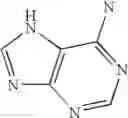 Fig. 42 - ENCAPSULATION OF RAMAN ACTIVE NANOPARTICLES