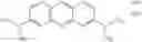 Fig. 44 - ENCAPSULATION OF RAMAN ACTIVE NANOPARTICLES