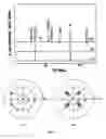 Fig. 05 - Epitaxial layer structures and precursors for topotactic anion exchange oxide films