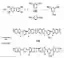 Fig. 01 - Partially sulfonated polybenzimidazole based polymer, method for preparing the same, MEA for fuel cell using the polybenzimidazole based polymer and method for preparing the same