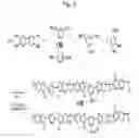 Fig. 03 - Partially sulfonated polybenzimidazole based polymer, method for preparing the same, MEA for fuel cell using the polybenzimidazole based polymer and method for preparing the same
