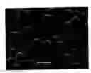 Fig. 01 - Resin-coated ferrite carrier for electrophotographic developer and electrophotographic developer using the resin-coated ferrite carrier
