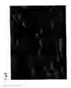 Fig. 03 - Resin-coated ferrite carrier for electrophotographic developer and electrophotographic developer using the resin-coated ferrite carrier