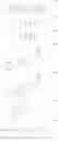 Fig. 38 - NEGATIVE RESIST COMPOSITION AND PATTERN FORMING METHOD USING THE SAME