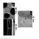 Fig. 05 - Contact metallization of carbon nanotubes