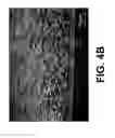 Fig. 10 - Contact metallization of carbon nanotubes
