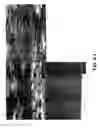 Fig. 11 - Contact metallization of carbon nanotubes